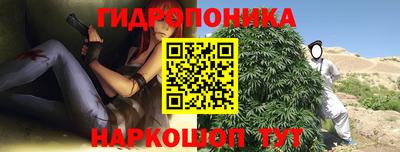 шишки Рузаевка
